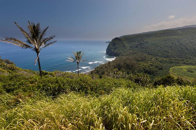 063 Big Island, Polulu Valley.jpg